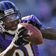 Illustration for article titled Anquan Boldin